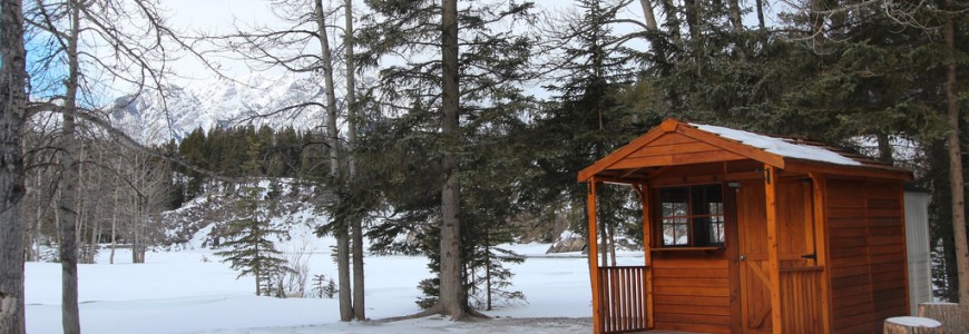 Garden shed