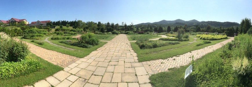 Garden path
