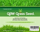 1 kg Grass Seed Covers 35 sqm - Premium Quality Seed - Fast Growing - Hard Wearing Lawn Seed - ...