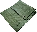 Amtech 12′ x 8′ tarpaulin - green