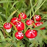 BESTIM INCUK Miniature Fairy Garden Mushroom Home Decoration Decor