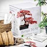 Plant Theatre Bonsai Trio Kit