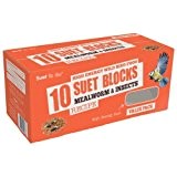 Suet to Go Wild Bird Suet Value Insect Block 300 g (Pack of 10)